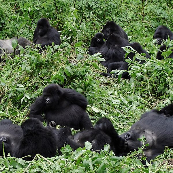 Top 10 Destinations & Adventure Trips