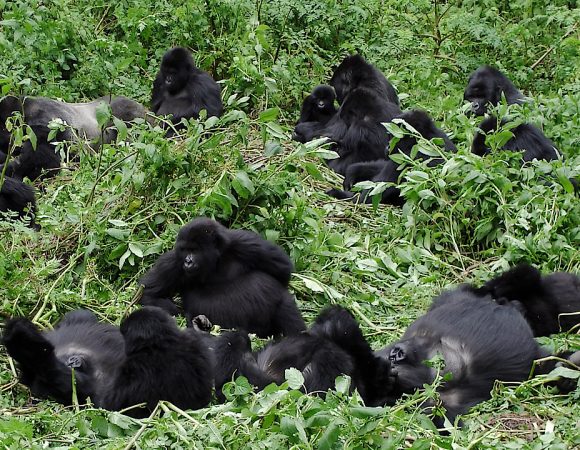 Top 10 Destinations & Adventure Trips